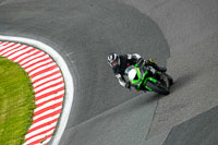 Lower Group Green Bikes